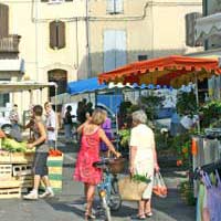 Expat Expats Typical French France