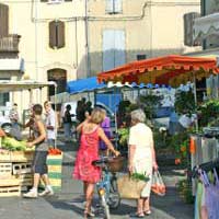Expat Expats Typical French France